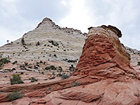 Red butte and white cliffs