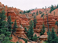 Rocks on the Pink Ledges Trail