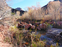 Trees and boulders