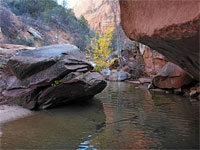 Rocks around a pool