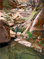 Clear-water pool