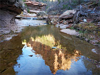 Reflections on a pool