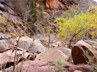 Boulders and trees