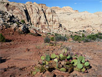 Volcanic boulders