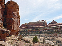 Cliffs of Salt Creek