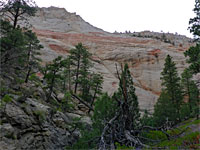 Reddish-white slickrock