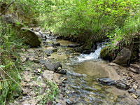 Tributary stream