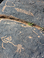 Large and small petroglyphs