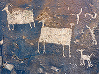 Bighorn sheep petroglyphs