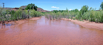 Pool along the river