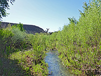 The river corridor