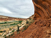 Alcove