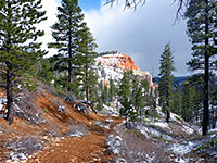 Sheep Creek/Swamp Canyon Trails