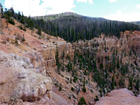 Curving cliffs