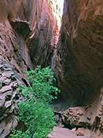 Singing Canyon