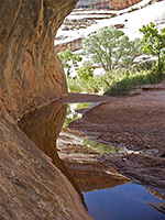 Pool near Sipapu Bridge