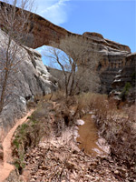 Sipapu Bridge