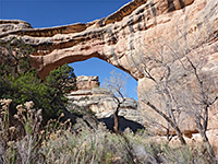 East side of Sipapu Bridge