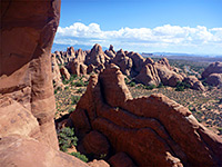 Fins below Skyline Arch