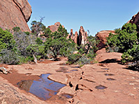 Devils Garden Trail