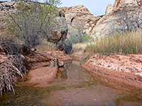 Mouth of the canyon