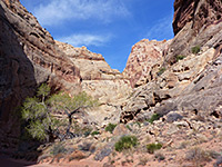 Canyon walls