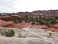 Trail from Squaw Flat