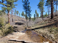 Stream near Stave Spring
