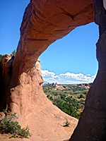Tapestry Arch
