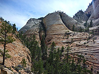 Tributary of Telephone Canyon