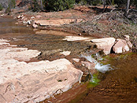 Cascade and pool