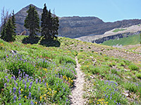 Timpanogos Basin