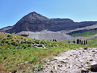 Timpanogos Basin