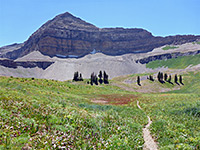 Timpooneke Trail