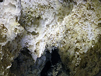 Yellowish-white formations