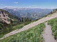 Scree and vegetation