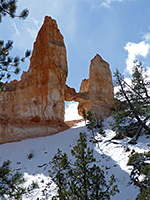 Tower Bridge Trail