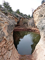 Above a pool