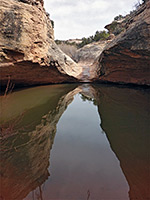 Reflections on a deep pool