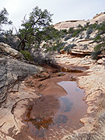 Shallow canyon