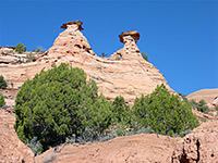 Two hoodoos