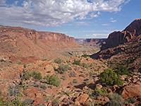 Bushes and boulders