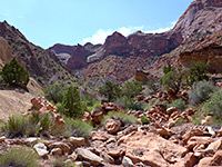 Trees and boulders