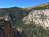 Aspen above cliffs