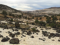 Typical view along the trail