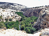 View down Calf Creek Canyon