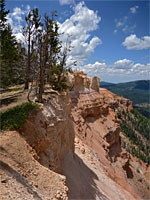 Trees and steep slopes