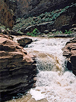 Cascade in Dark Canyon