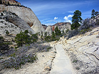 Trail over white slickrock