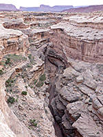 White Canyon